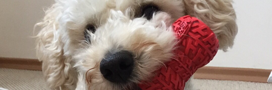 Natalia Vidal banner