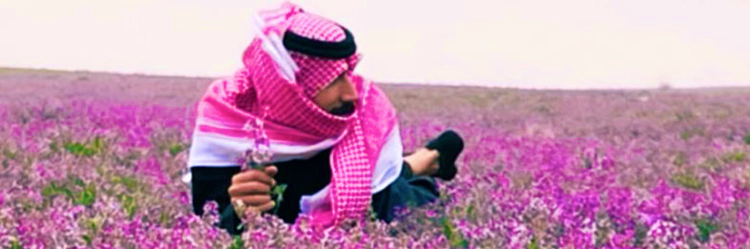 👨🏻‍🦱 banner