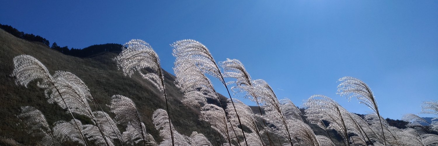 hoyosann's profile banner image