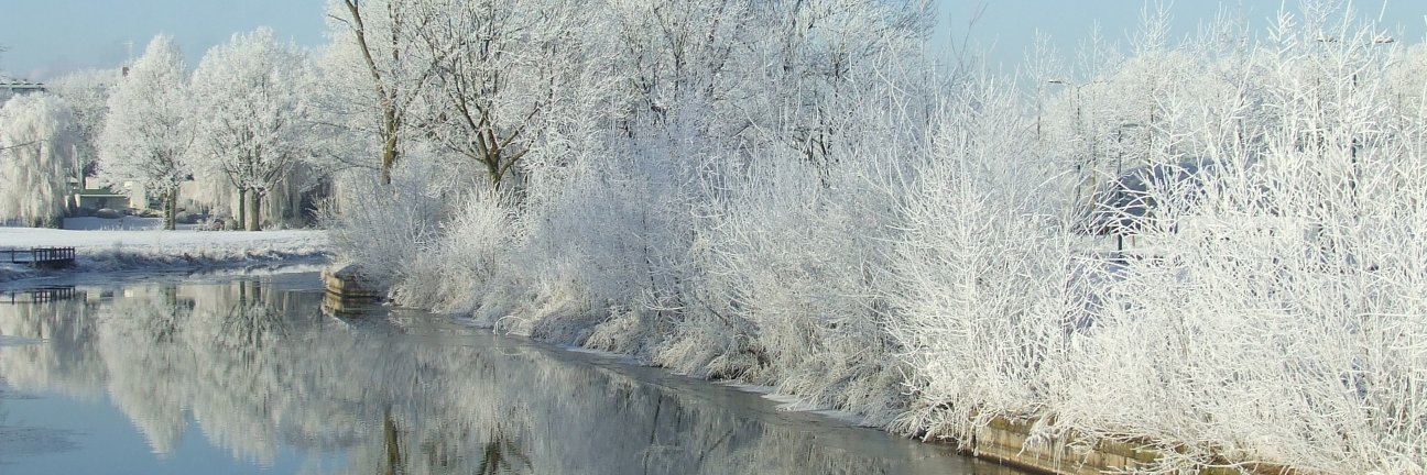 ZZPValley's profile banner image