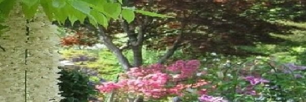debstgeorge's profile banner image