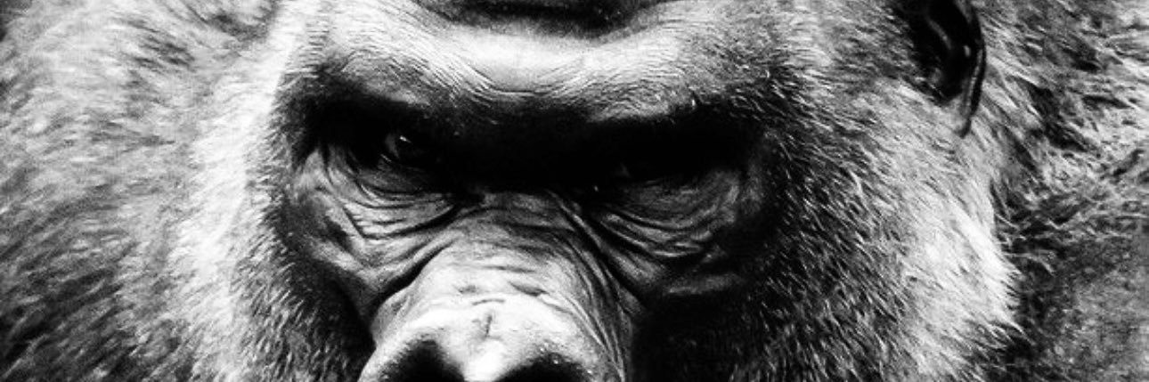 EugeneINelson's profile banner image