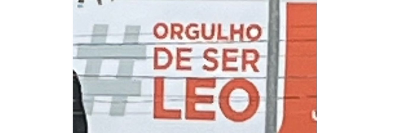 leo banner