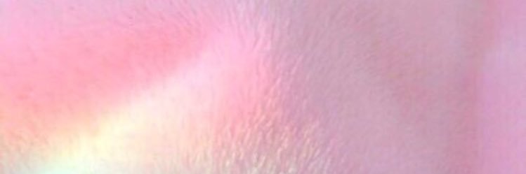 sedadrnN's profile banner image