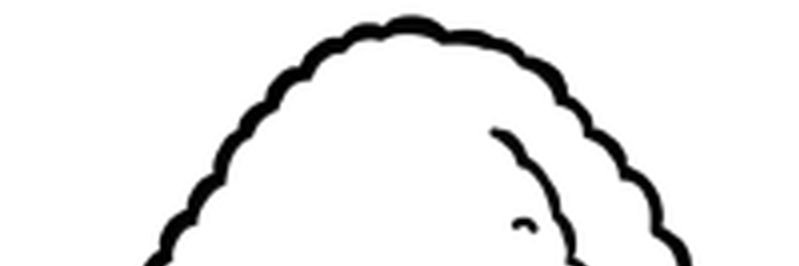 4949ym's profile banner image