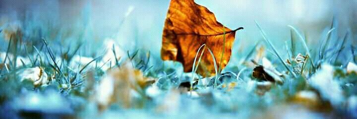 Adi86Suman's profile banner image