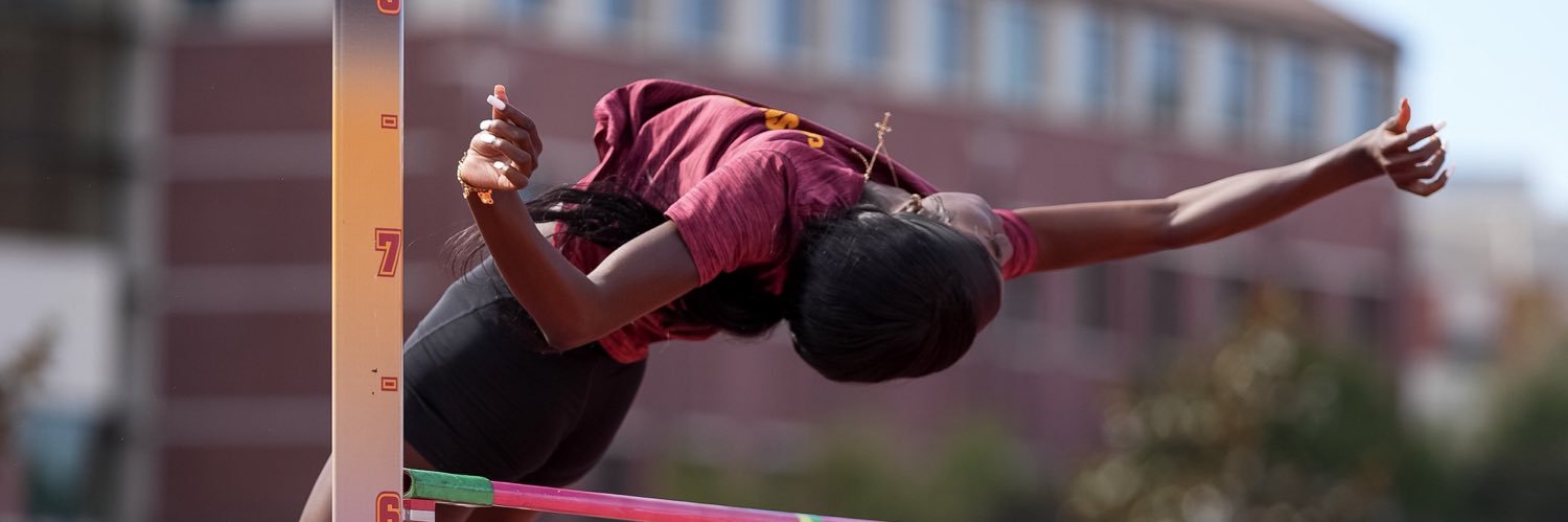 FalynLott2024 banner