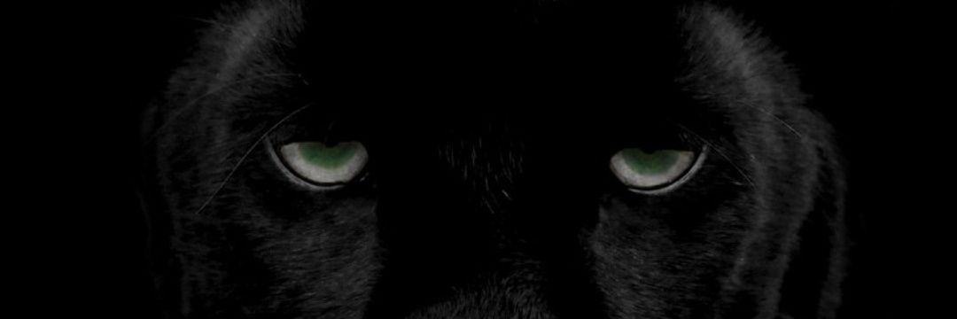 officialcpvyas's profile banner image
