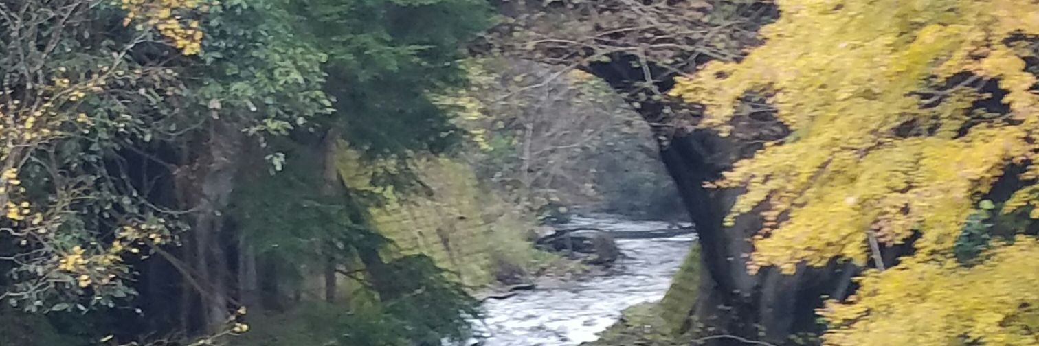tama322's profile banner image