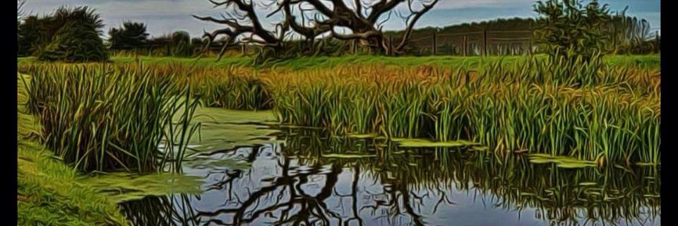 Macey777's profile banner image