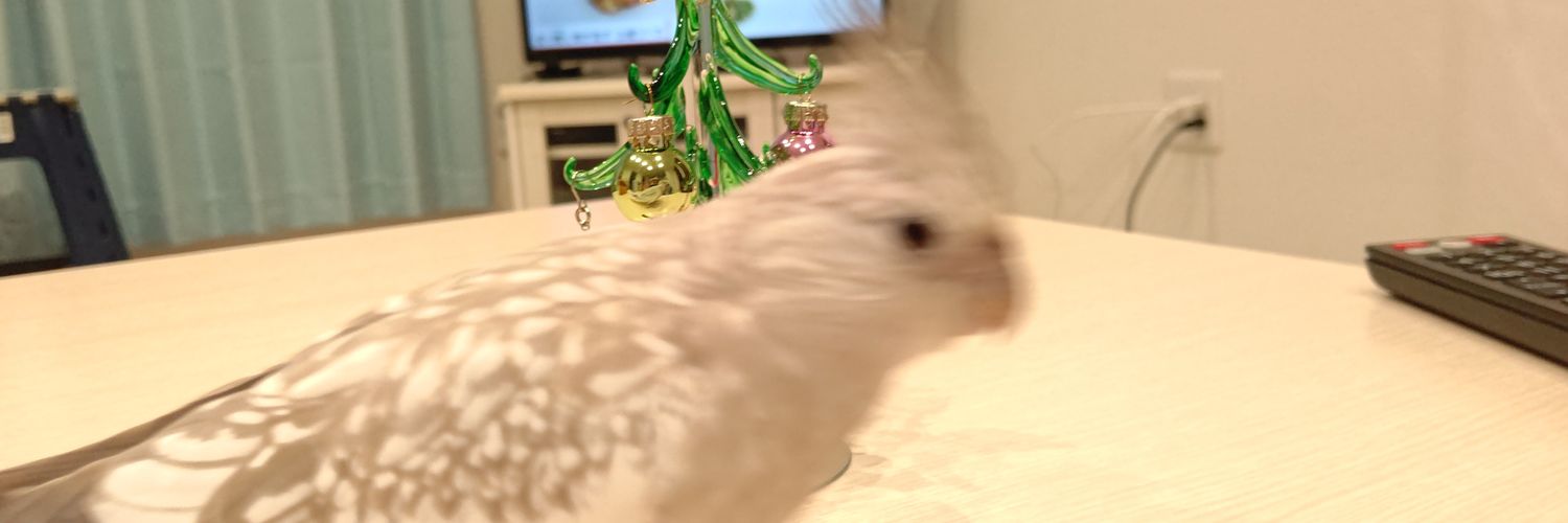 hetaumi's profile banner image