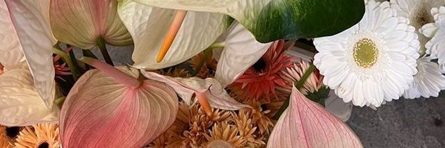 cip ⋆ banner