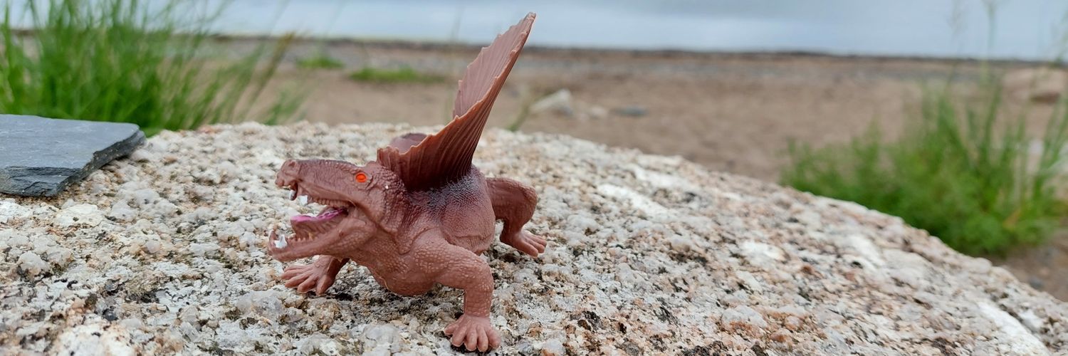 Alex MacDonald banner