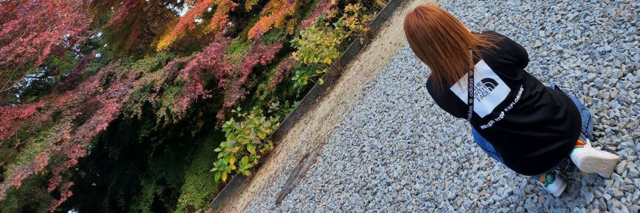 jaNUMXSDQVsCeDC's profile banner image