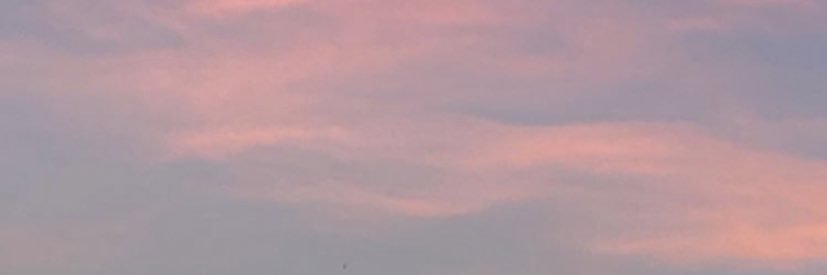 caaaaaroli's profile banner image