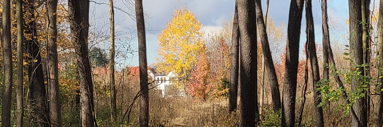 David Wemhoff🇺🇸 banner