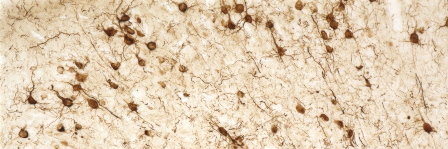 Jae-Kyung ‘Jamise’ Lee banner