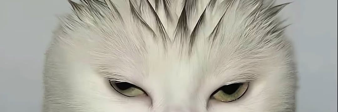 Zydss2's profile banner image