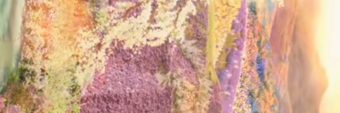 BE banner
