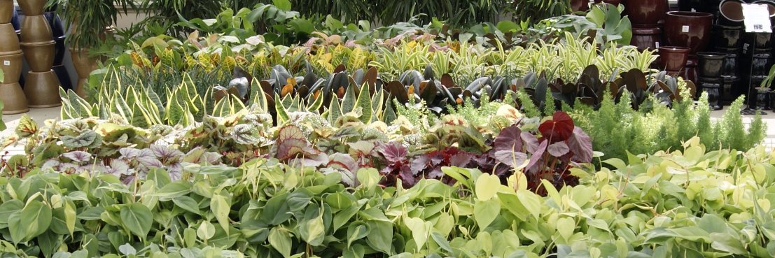 bgreenhouses's profile banner image