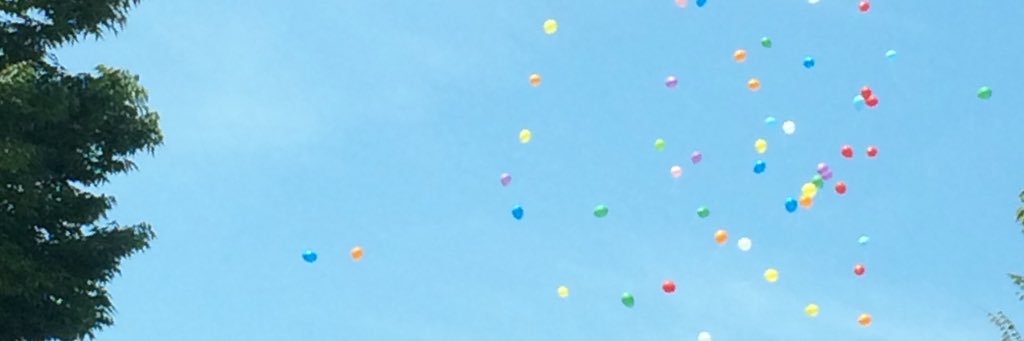 tanu_hh's profile banner image