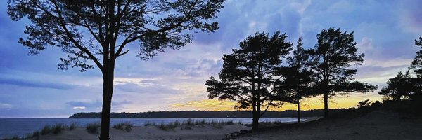 HyperboIeva Profile Banner