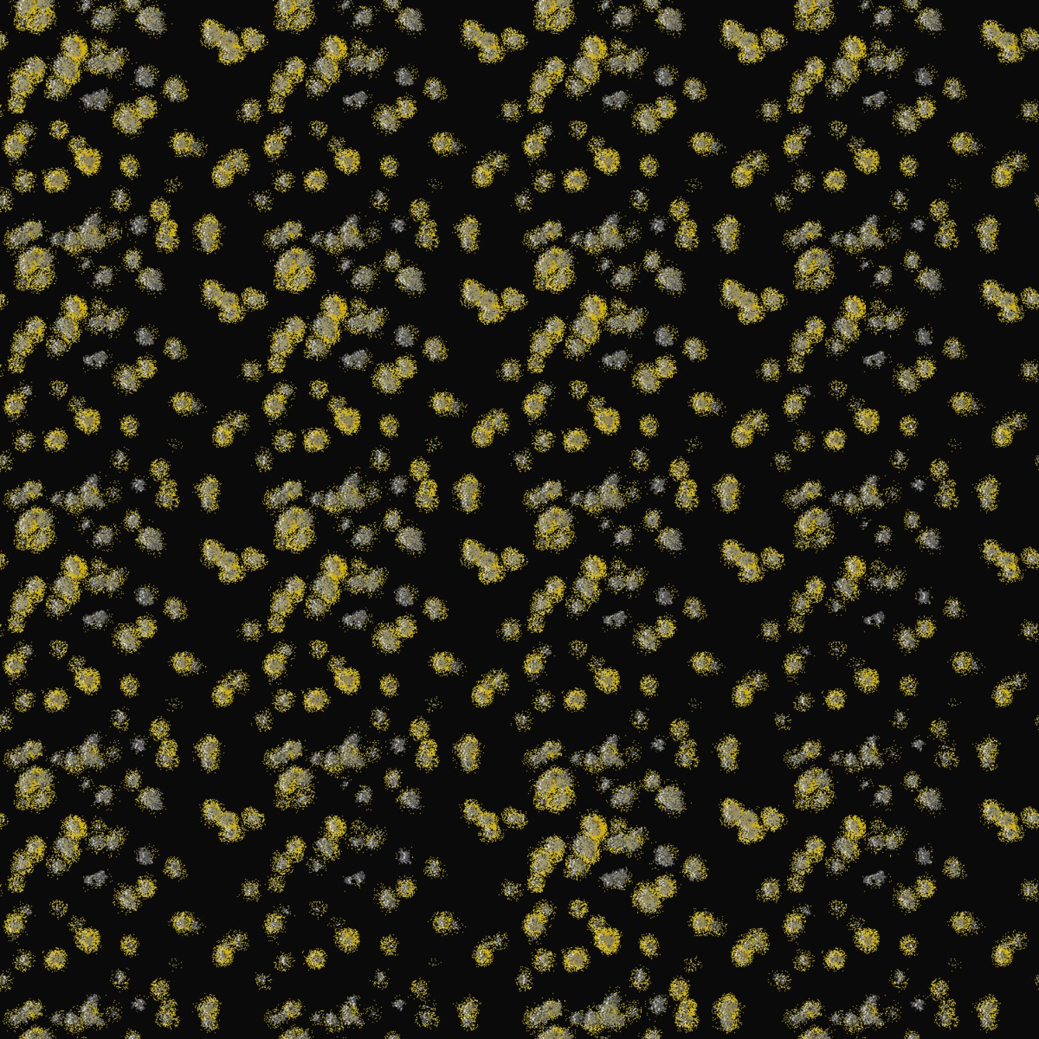 Enrico Sandro Colizzi banner