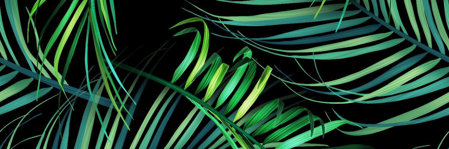 Kvasir banner
