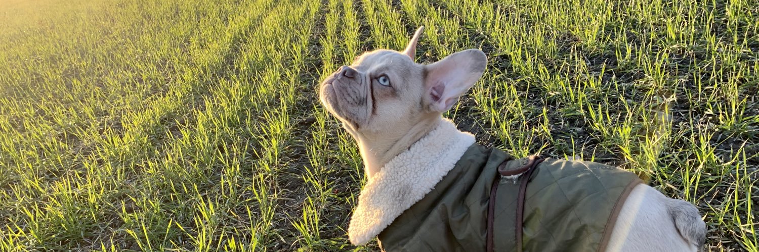 nillevilla's profile banner image