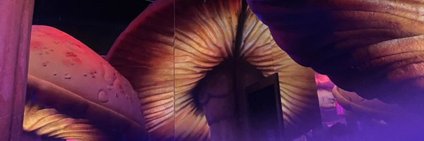 icicestcool Profile Banner
