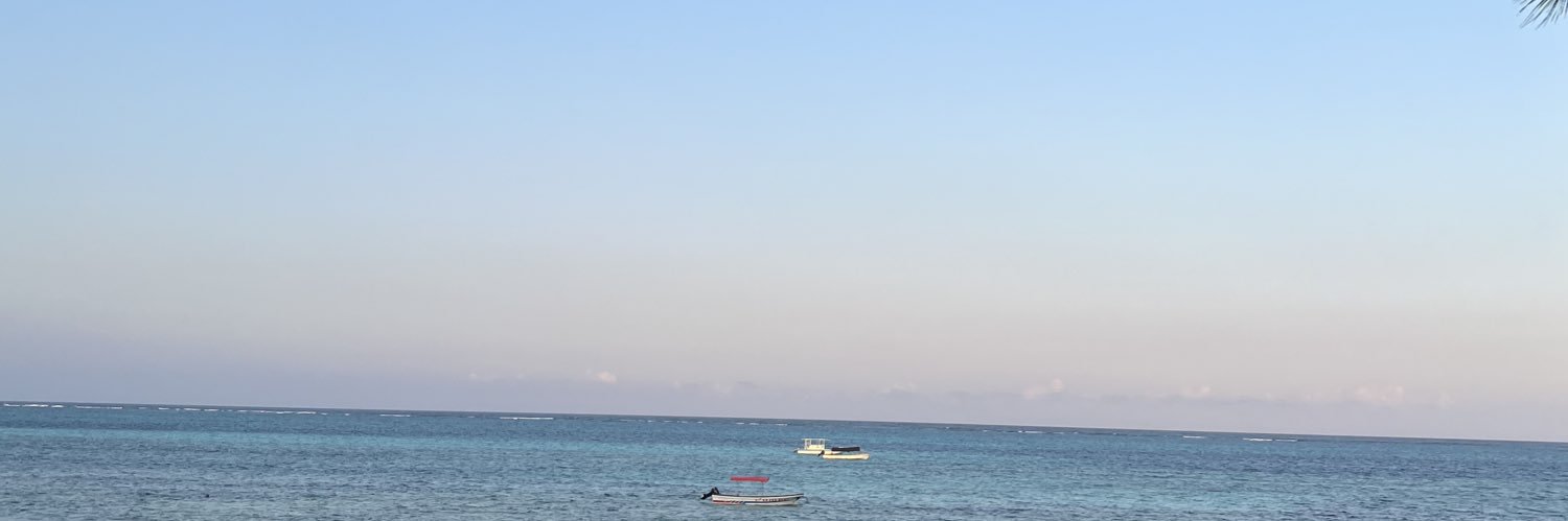 oceaneb__'s profile banner image