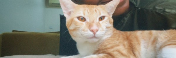 _littlehuman_ Profile Banner