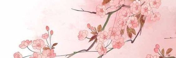 marylin19's profile banner image