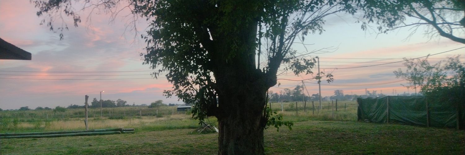 𝐌𝗮𝗶⁷ ˙ᵕ˙🇦🇷 banner