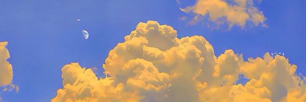 _phroyo Profile Banner