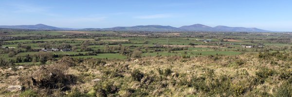 papak Profile Banner