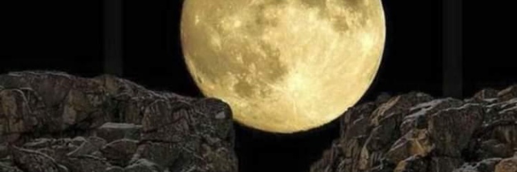 PizHugo's profile banner image