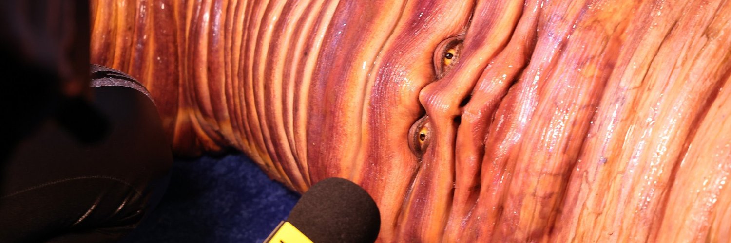 desroix's profile banner image