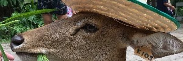 CrypticTW Profile Banner