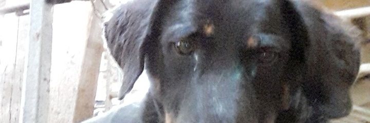 Pau_linee98's profile banner image