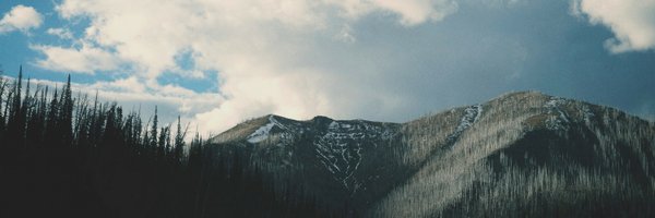 kelly60 Profile Banner