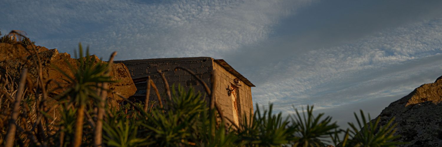 catboitard's profile banner image
