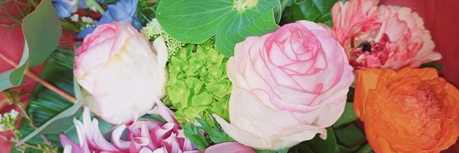 みい banner
