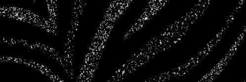 SHAWTY banner