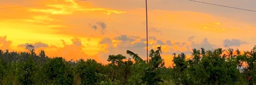 adesaharaaa's profile banner image