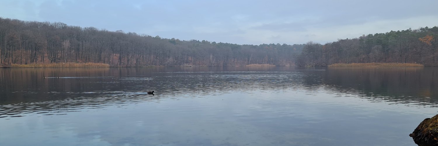 Serhii Potapov banner