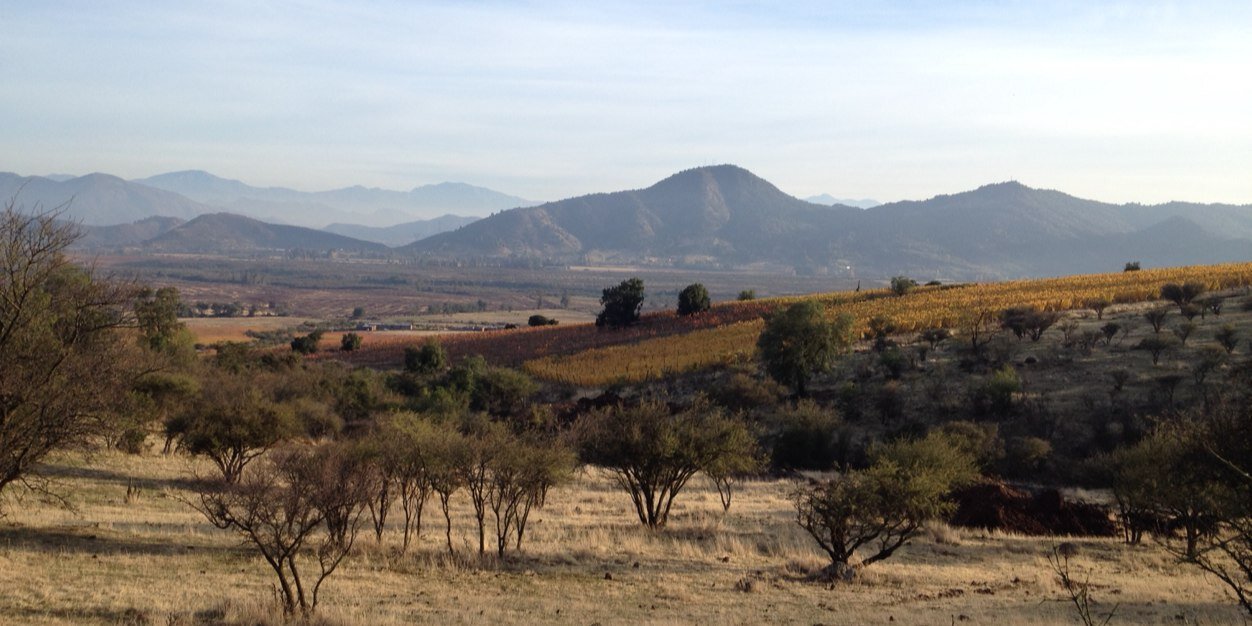 Cristobal Undurraga banner