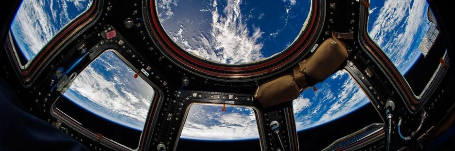 Mitch Kwiatkowski banner