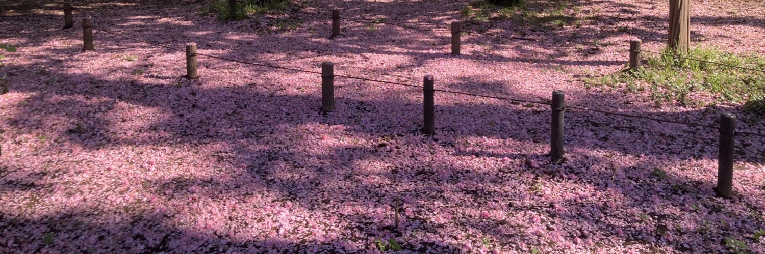 有象 (ユウゾウ) banner