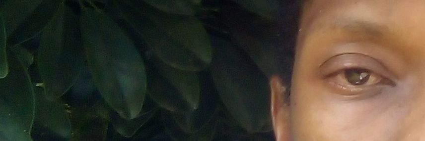 Ray_Tholi's profile banner image